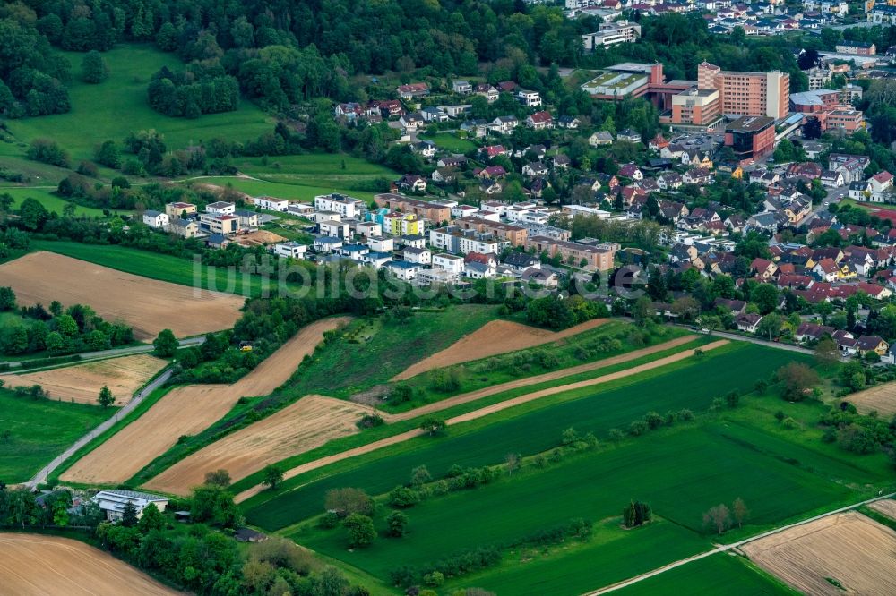 Luftaufnahme Lahr/Schwarzwald - Wohngebiet einer Einfamilienhaus- Siedlung Stadtteil Burkheim in Lahr/Schwarzwald im Bundesland Baden-Württemberg, Deutschland