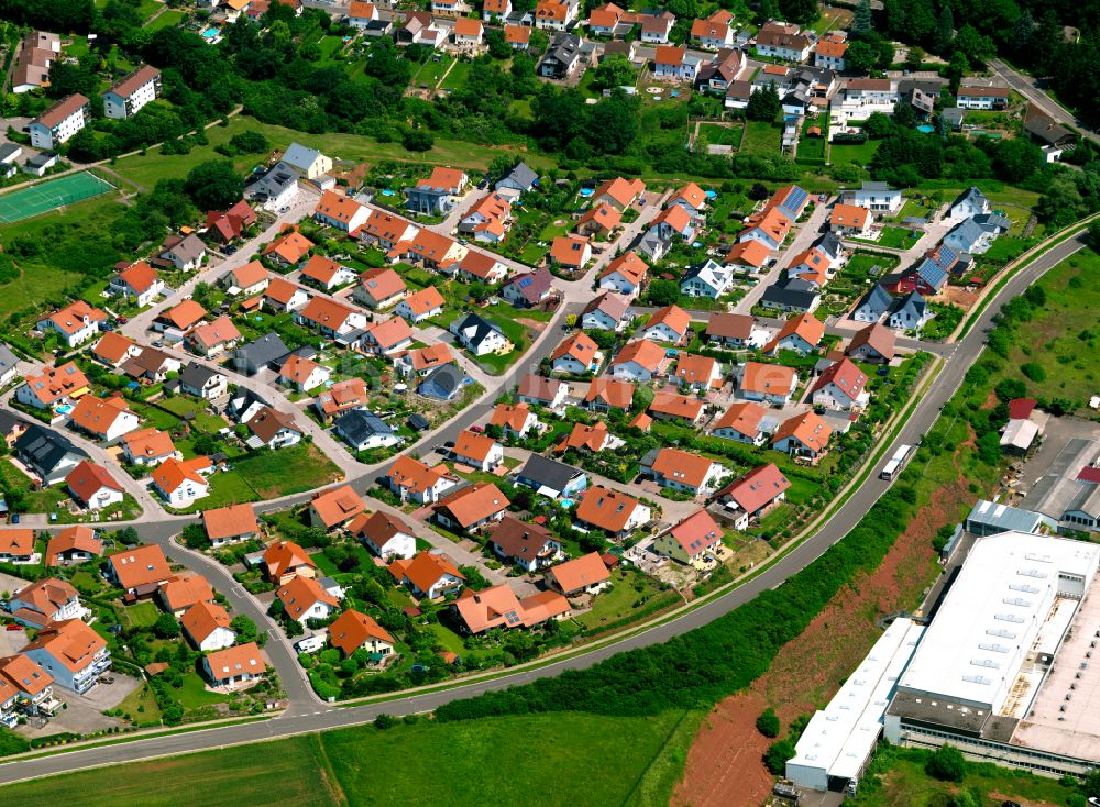 Luftaufnahme Steinborn - Wohngebiet einer Einfamilienhaus- Siedlung in Steinborn im Bundesland Rheinland-Pfalz, Deutschland