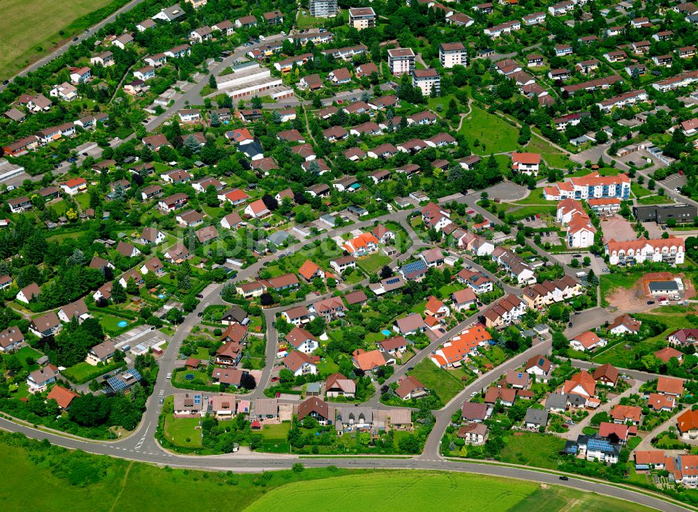 Luftaufnahme Steinborn - Wohngebiet einer Einfamilienhaus- Siedlung in Steinborn im Bundesland Rheinland-Pfalz, Deutschland
