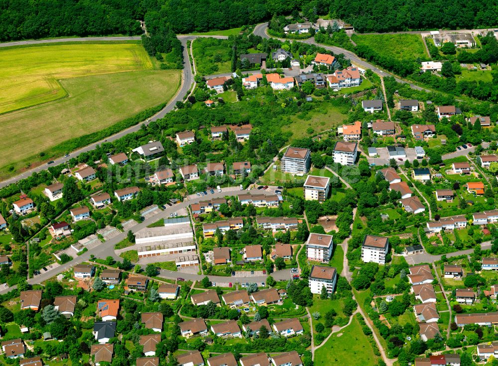 Steinborn aus der Vogelperspektive: Wohngebiet einer Einfamilienhaus- Siedlung in Steinborn im Bundesland Rheinland-Pfalz, Deutschland