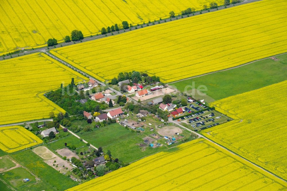 Luftbild Schulzendorf - Wohngebiet einer Einfamilienhaus- Siedlung am Vorwerk in Schulzendorf im Bundesland Brandenburg, Deutschland