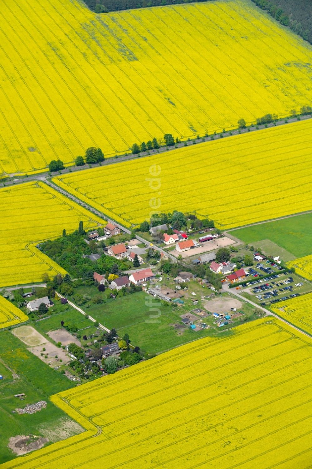 Luftaufnahme Schulzendorf - Wohngebiet einer Einfamilienhaus- Siedlung am Vorwerk in Schulzendorf im Bundesland Brandenburg, Deutschland