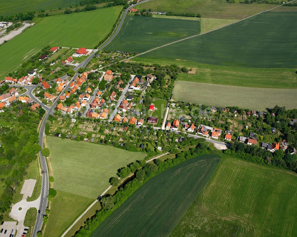 Luftaufnahme Drübeck - Wohngebiet am Feldrand in Drübeck im Bundesland Sachsen-Anhalt, Deutschland