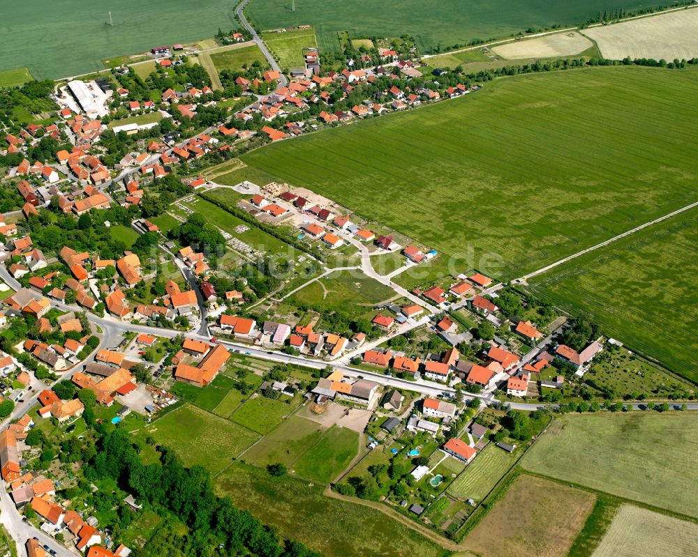 Luftaufnahme Veckenstedt - Wohngebiet am Feldrand in Veckenstedt im Bundesland Sachsen-Anhalt, Deutschland