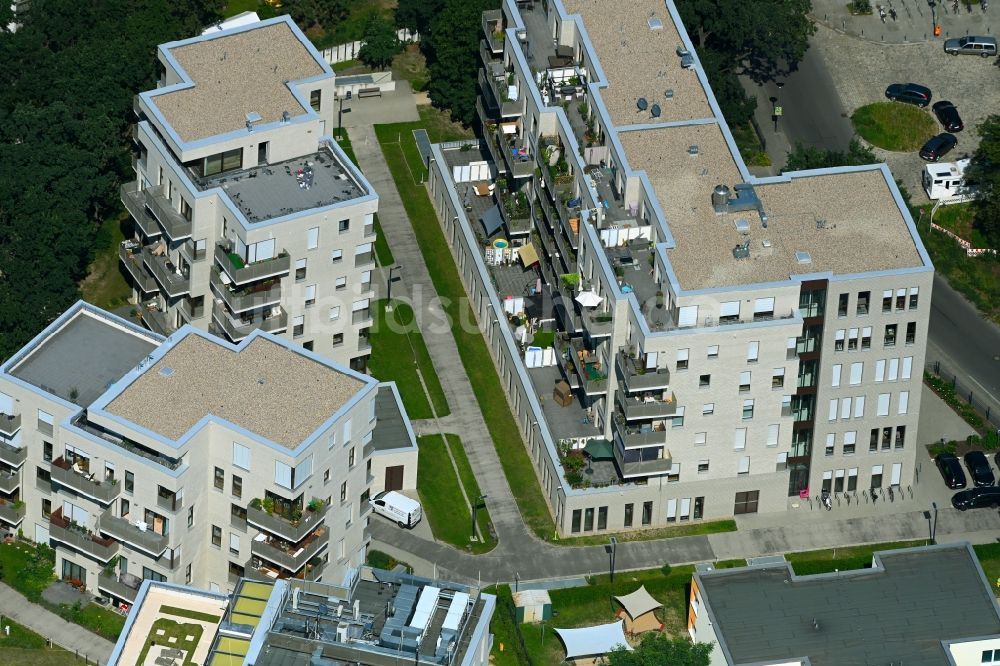 Luftaufnahme Berlin - Wohngebiet der Mehrfamilienhaussiedlung Am Carlsgarten in Berlin, Deutschland