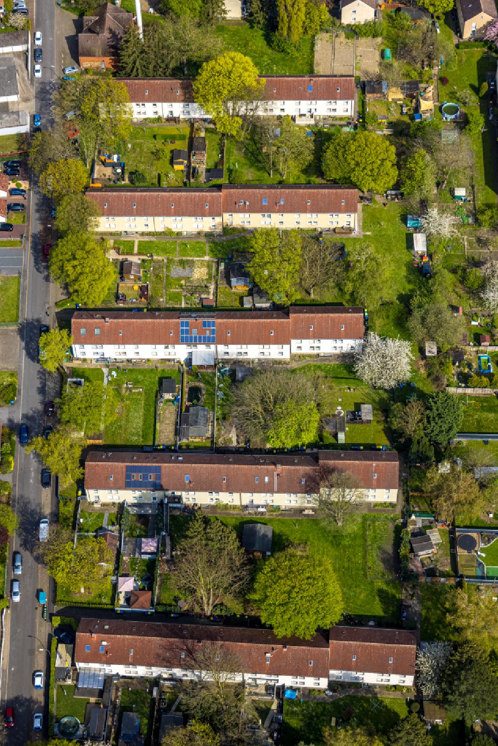 Luftbild Bönen - Wohngebiet der Mehrfamilienhaussiedlung entlang der Woortstraße - Rosenstraße in Bönen im Bundesland Nordrhein-Westfalen, Deutschland