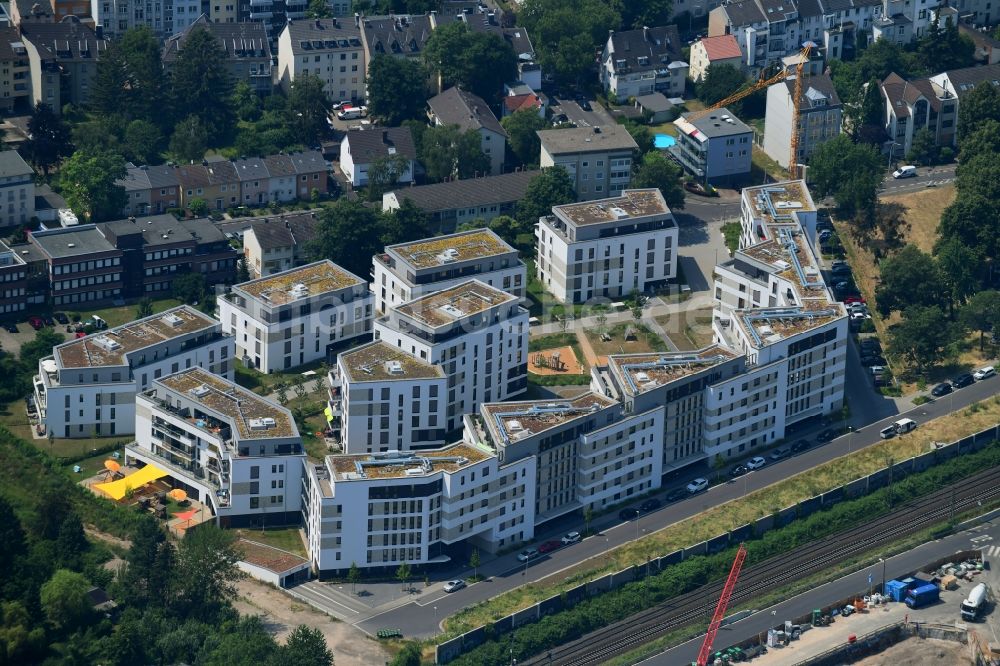 Luftbild Bonn - Wohngebiet der Mehrfamilienhaussiedlung im Ortsteil Kessenich in Bonn im Bundesland Nordrhein-Westfalen, Deutschland