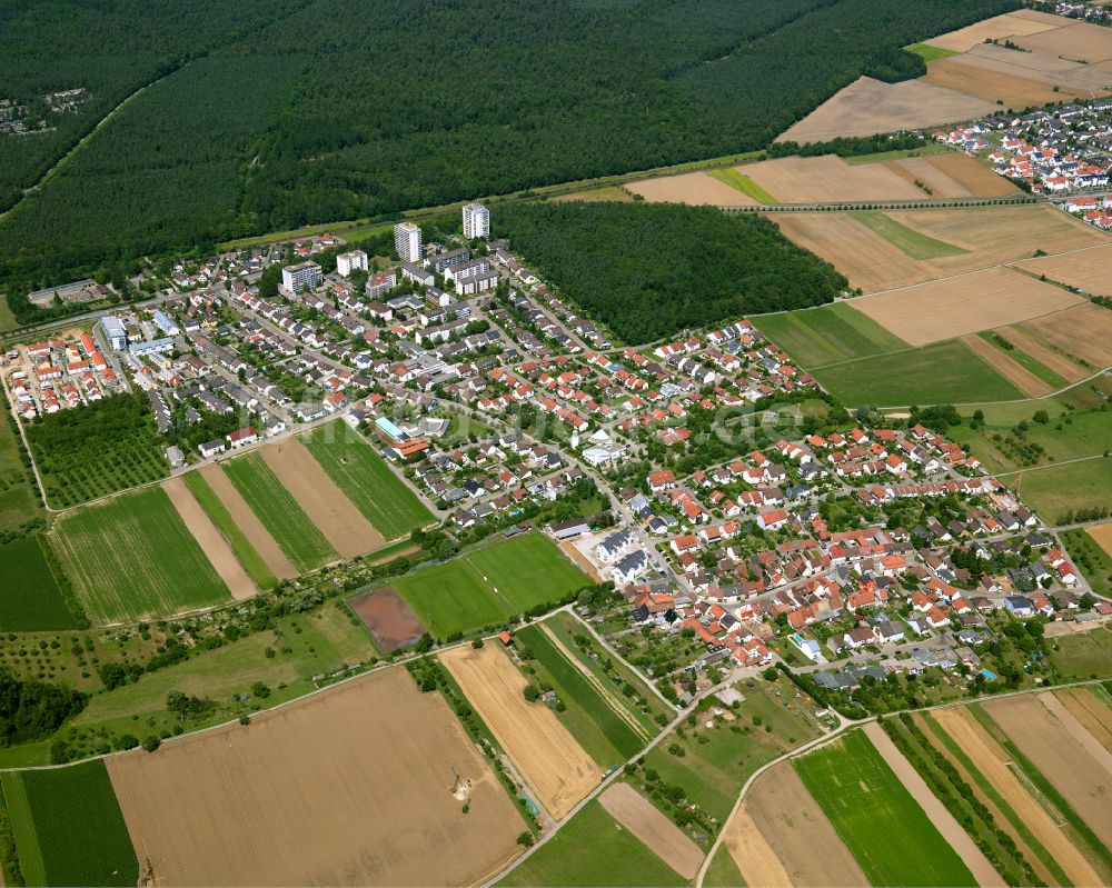 Blankenloch-Büchig von oben - Wohngebiet - Mischbebauung der Mehr- und Einfamilienhaussiedlung in Blankenloch-Büchig im Bundesland Baden-Württemberg, Deutschland