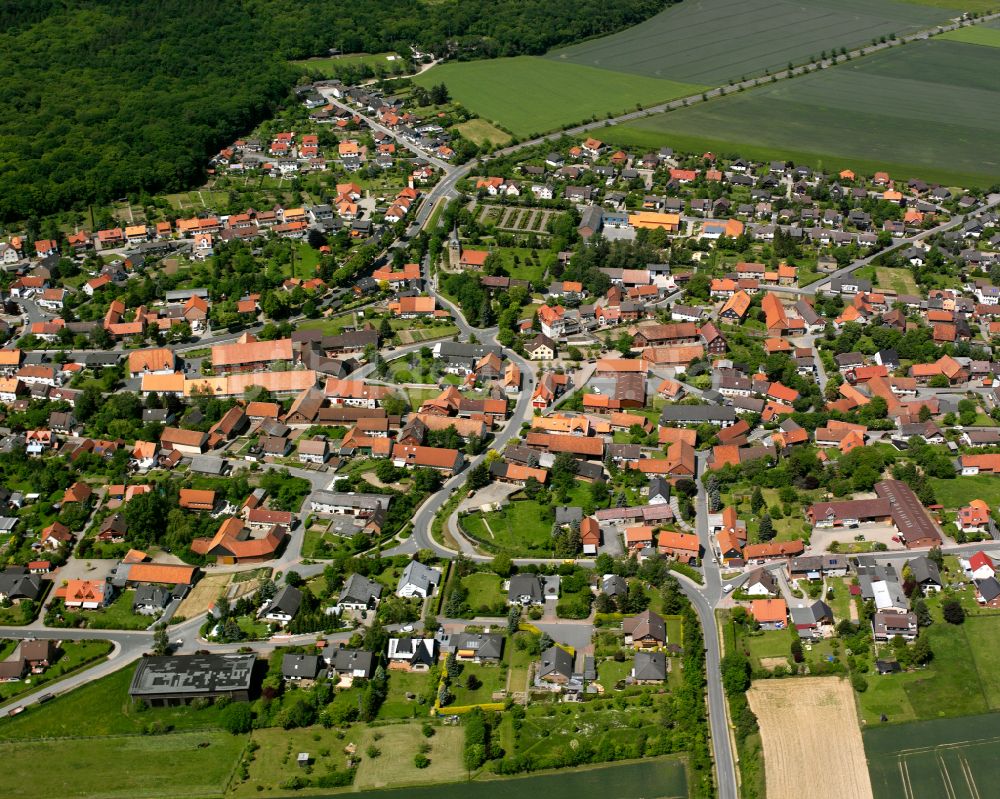Immenrode von oben - Wohngebiet - Mischbebauung der Mehr- und Einfamilienhaussiedlung in Immenrode im Bundesland Niedersachsen, Deutschland