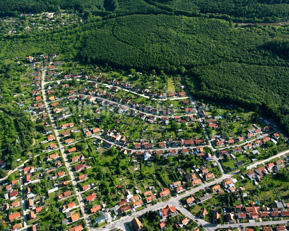 Oesig von oben - Wohngebiet - Mischbebauung der Mehr- und Einfamilienhaussiedlung in Oesig im Bundesland Sachsen-Anhalt, Deutschland