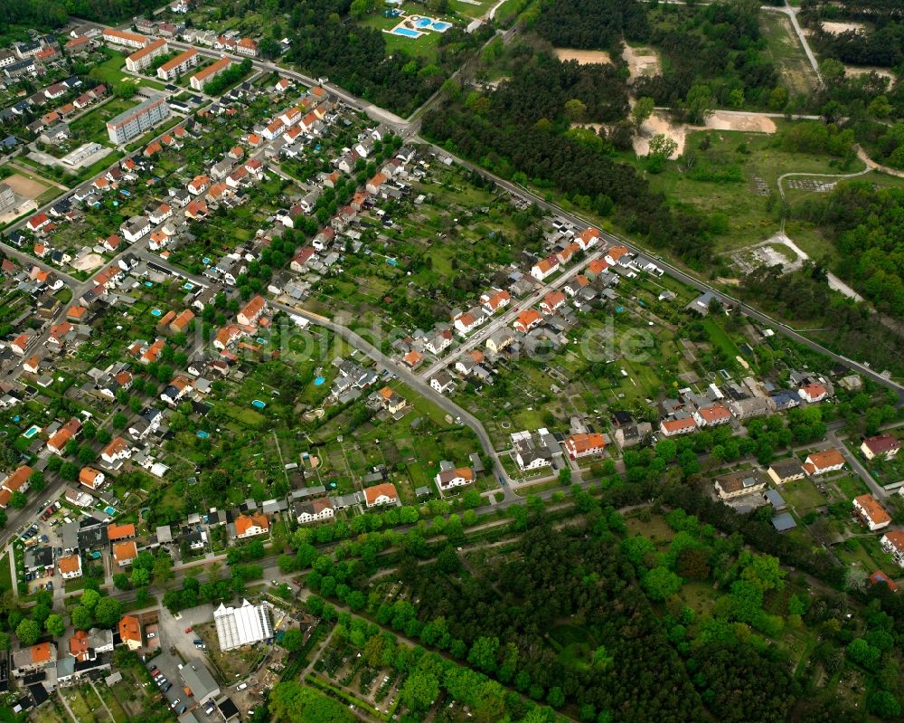 Luftbild Roßlau Elbe - Wohngebiet - Mischbebauung der Mehr- und Einfamilienhaussiedlung in Roßlau Elbe im Bundesland Sachsen-Anhalt, Deutschland