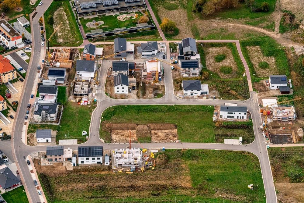 Rust von oben - Wohngebiet - Mischbebauung der Mehr- und Einfamilienhaussiedlung in Rust im Bundesland Baden-Württemberg, Deutschland