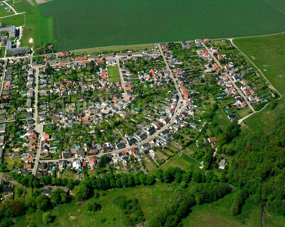 Serno von oben - Wohngebiet - Mischbebauung der Mehr- und Einfamilienhaussiedlung in Serno im Bundesland Sachsen-Anhalt, Deutschland