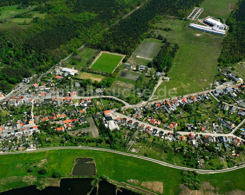 Serno von oben - Wohngebiet - Mischbebauung der Mehr- und Einfamilienhaussiedlung in Serno im Bundesland Sachsen-Anhalt, Deutschland