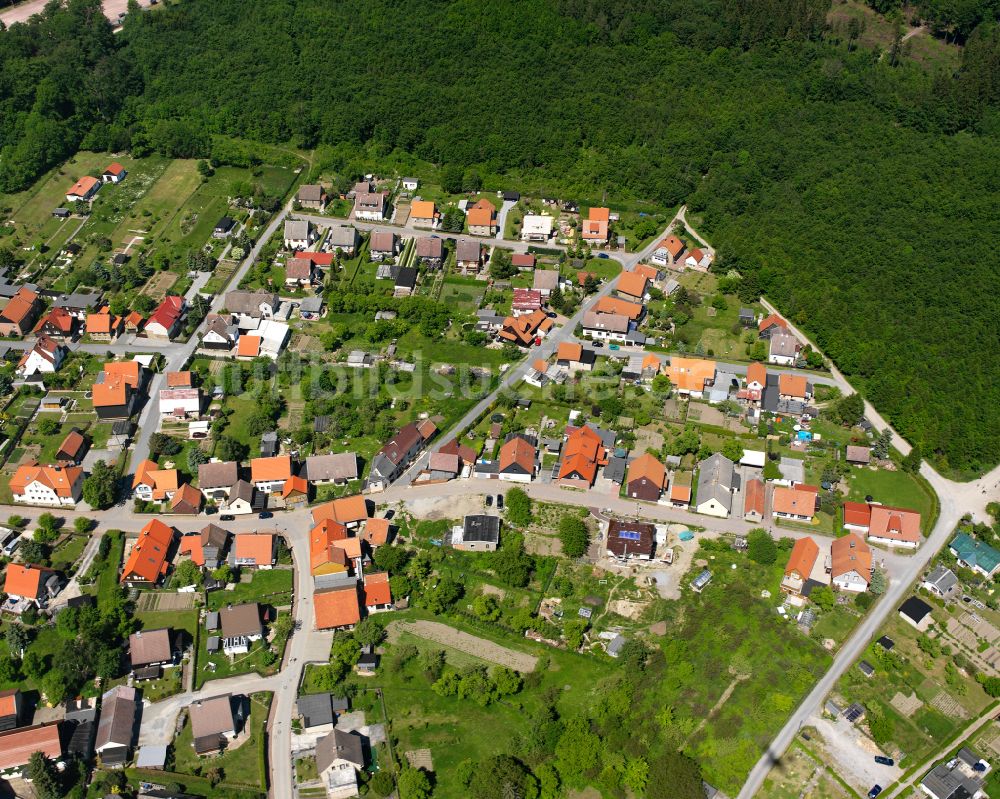 Hüttenrode von oben - Wohngebiet am Waldrand in Hüttenrode im Bundesland Sachsen-Anhalt, Deutschland