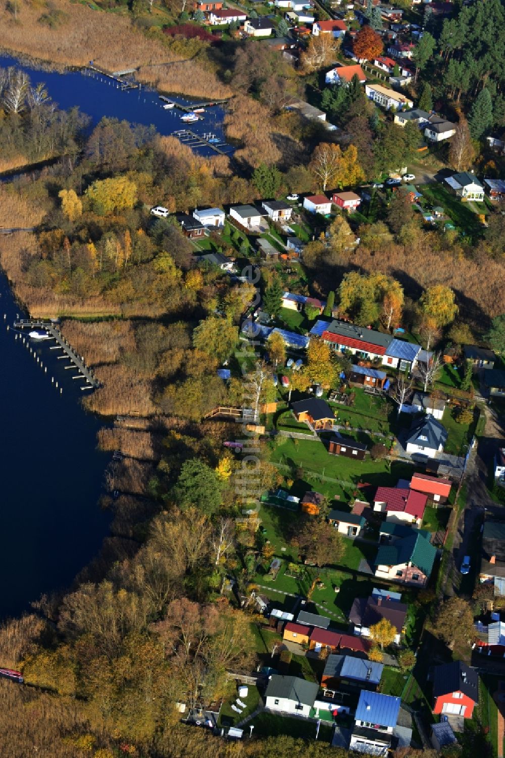 Luftaufnahme Oberuckersee Warnitz - Wohnhäuser am Ufer zum Oberuckersee