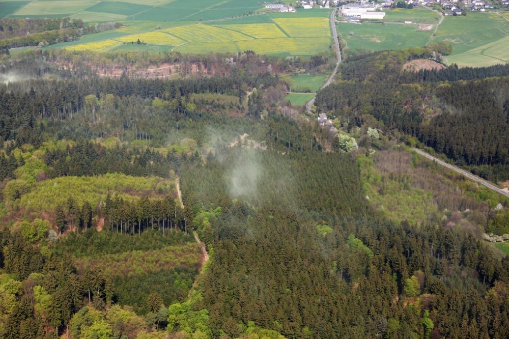 Beltheim von oben - Wolken von Pollen über einem Waldgebiet bei Beltheim im Bundesland Rheinland-Pfalz, Deutschland