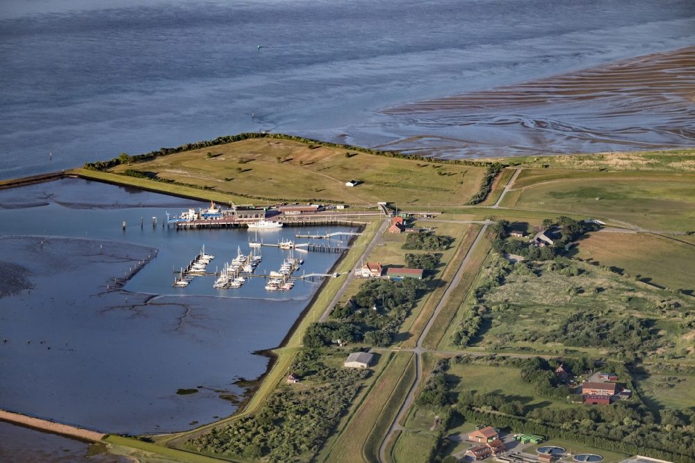Langeoog von oben - Yachthafen mit Sportboot- Anlegestellen und Bootsliegeplätzen am Uferbereich am Küstenbereich der Nordsee in Langeoog im Bundesland Niedersachsen, Deutschland