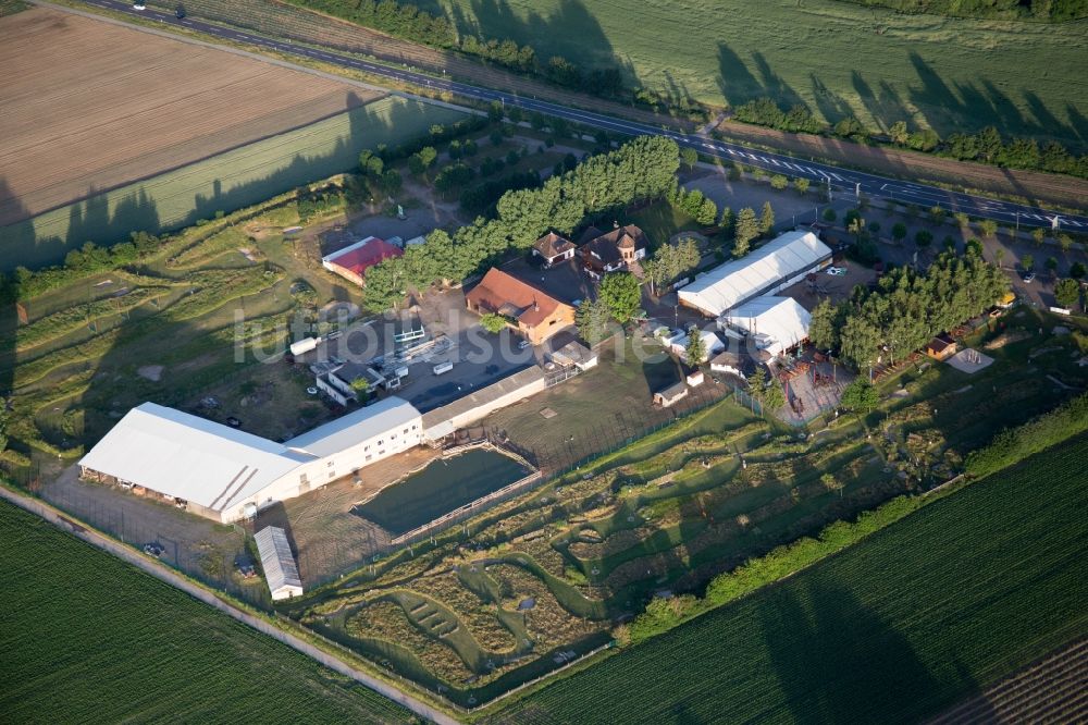 Luftaufnahme Kandel - Zelt der Freiluft- Gaststätte Adamshof und Fussgolf-Anlage Kandel in Kandel im Bundesland Rheinland-Pfalz, Deutschland