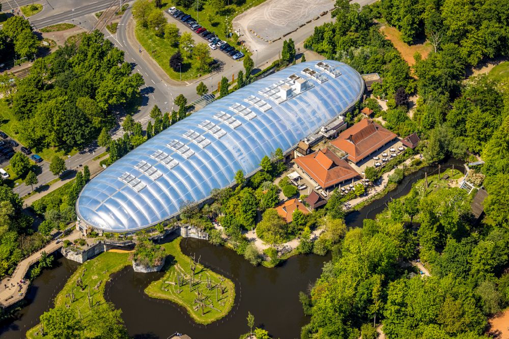 Luftaufnahme Gelsenkirchen - Zoogelände am Tierpark ZOOM Erlebniswelt an der Asienhalle in Gelsenkirchen im Bundesland Nordrhein-Westfalen, Deutschland