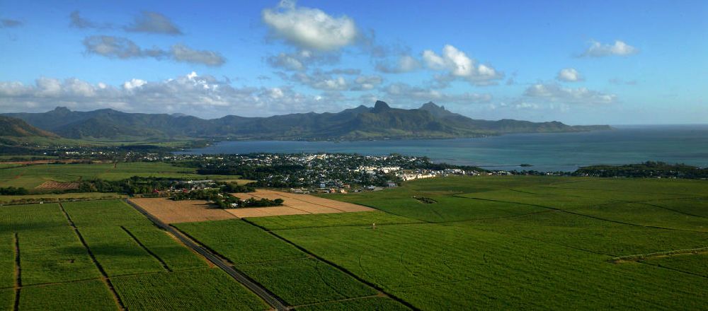 Luftaufnahme Mauritius - Zuckerrohrfelder in Mauritius