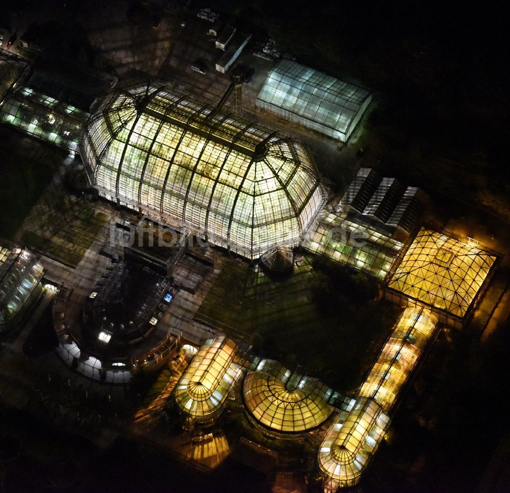 Nacht-Luftaufnahme Berlin - Nachtluftbild der Hauptgebäude und Gewächshäuser- Komplex im Botanischen Garten Berlin-Dahlem in Berlin
