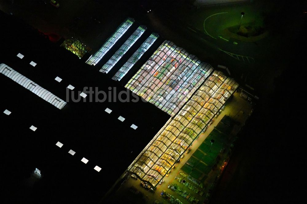 Nacht-Luftaufnahme Eisenhüttenstadt - Nachtluftbild Gebäude des Baumarktes toom Baumarkt Am Wiesengrund in Eisenhüttenstadt im Bundesland Brandenburg, Deutschland