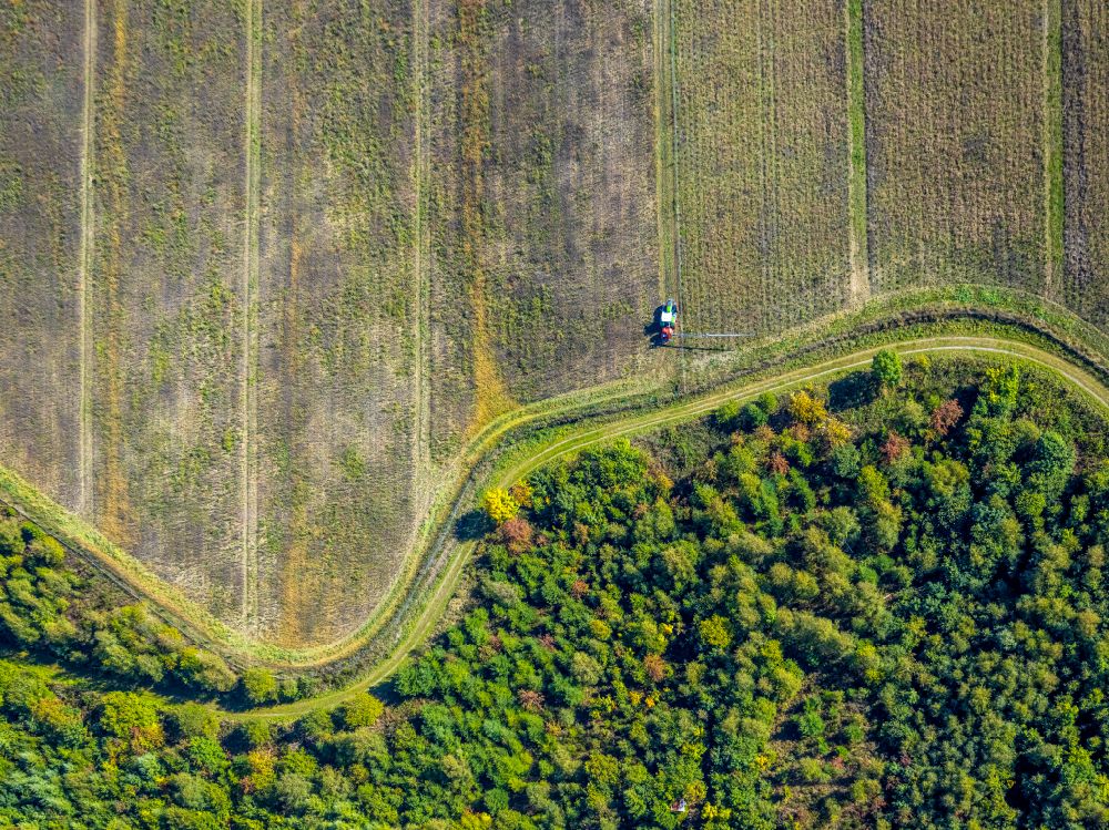 Senkrecht-Luftbild Gleidorf - Senkrechtluftbild Abgeerntete Kornfeld-Strukturen auf einem Getreidefeld in Gleidorf im Bundesland Nordrhein-Westfalen, Deutschland