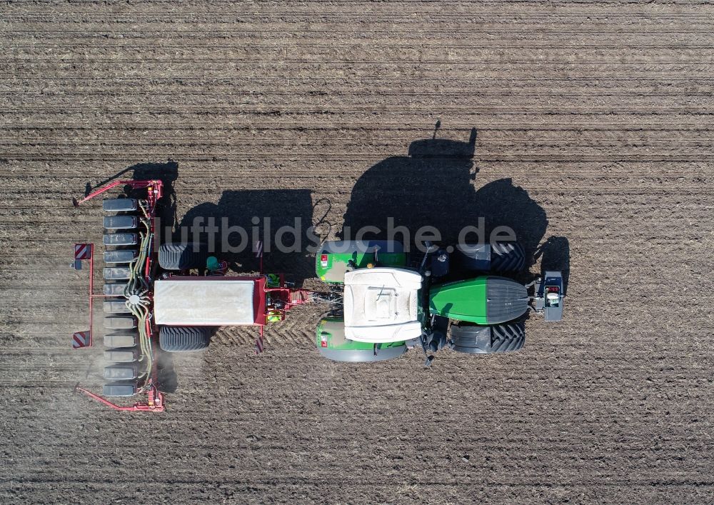 Senkrecht-Luftbild Mallnow - Senkrechtluftbild Bestellung landwirtschaftlicher Felder mit Maissaatgut in Mallnow im Bundesland Brandenburg, Deutschland