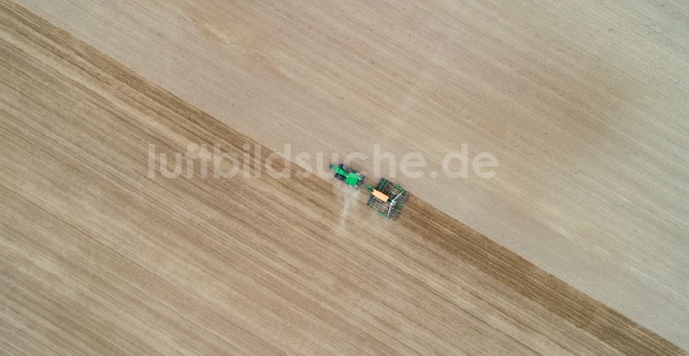 Senkrecht-Luftbild Seelow - Senkrechtluftbild Bestellung landwirtschaftlicher Felder mit einer Zwischenfrucht zur Bodenverbesserung in Seelow im Bundesland Brandenburg, Deutschland
