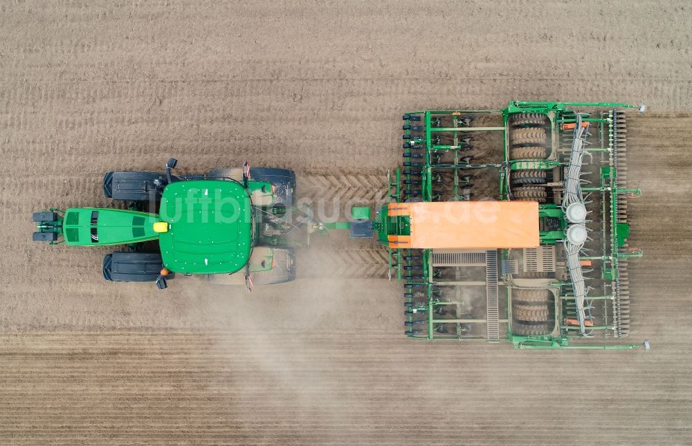Senkrecht-Luftbild Seelow - Senkrechtluftbild Bestellung landwirtschaftlicher Felder mit einer Zwischenfrucht zur Bodenverbesserung in Seelow im Bundesland Brandenburg, Deutschland
