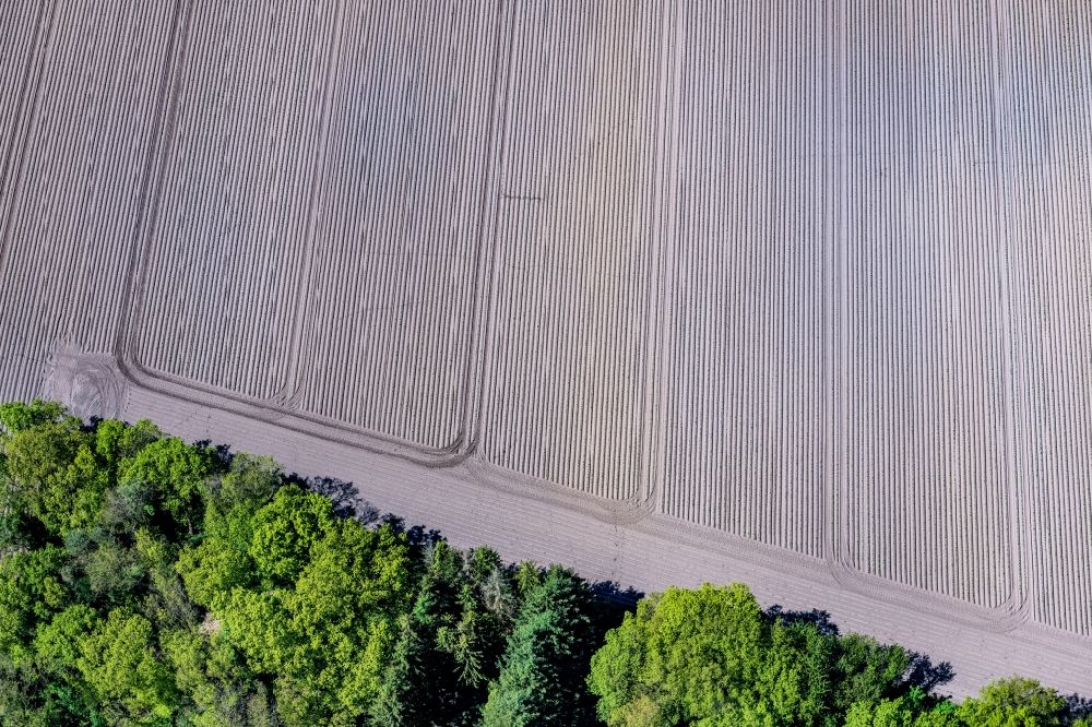 Senkrecht-Luftbild Heinbockel - Senkrechtluftbild Bodenbearbeitungsspuren auf einem landwirtschaftlichen Acker in Heinbockel im Bundesland Niedersachsen, Deutschland