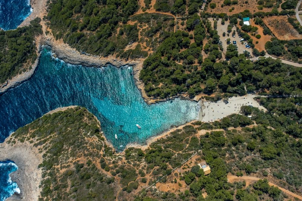 Senkrecht-Luftbild Felanich - Senkrechtluftbild Bucht entlang der Meeres- Küste mit Strand der Bucht Cala Sa Nau in Felanich in Balearische Insel Mallorca, Spanien