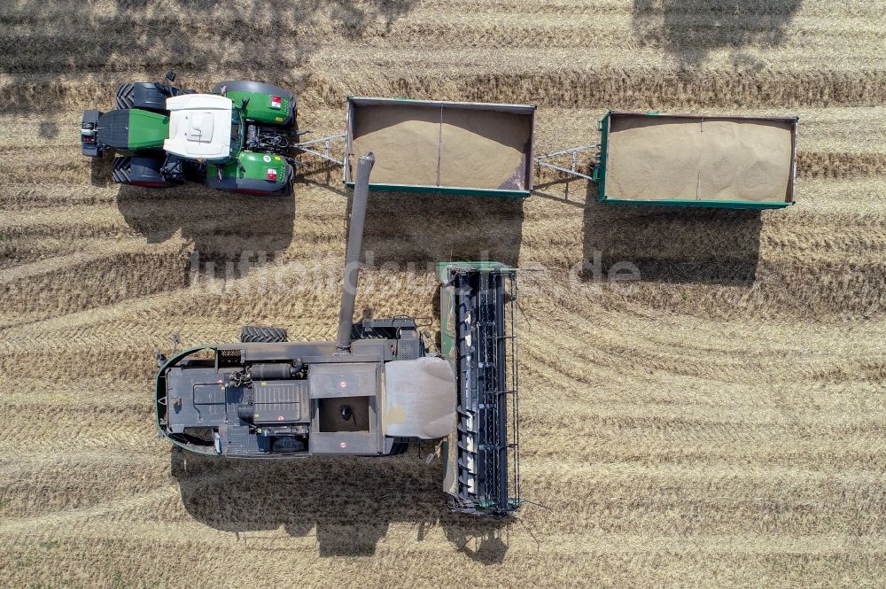 Senkrecht-Luftbild Mallnow - Senkrechtluftbild Ernteeinsatz auf Getreidefeldern in Mallnow im Bundesland Brandenburg, Deutschland