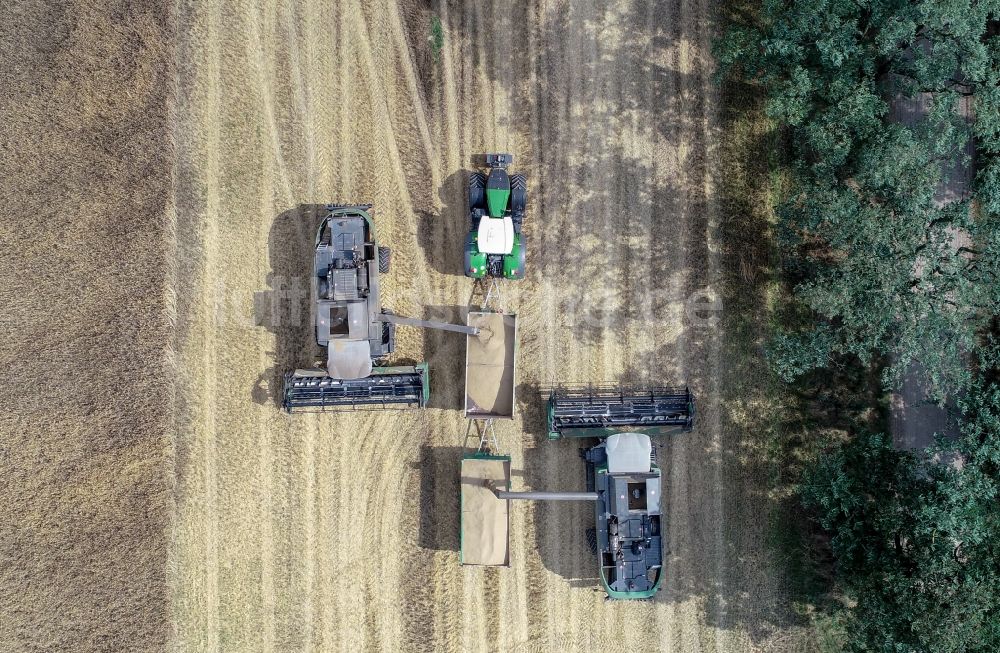Senkrecht-Luftbild Mallnow - Senkrechtluftbild Ernteeinsatz auf Getreidefeldern in Mallnow im Bundesland Brandenburg, Deutschland
