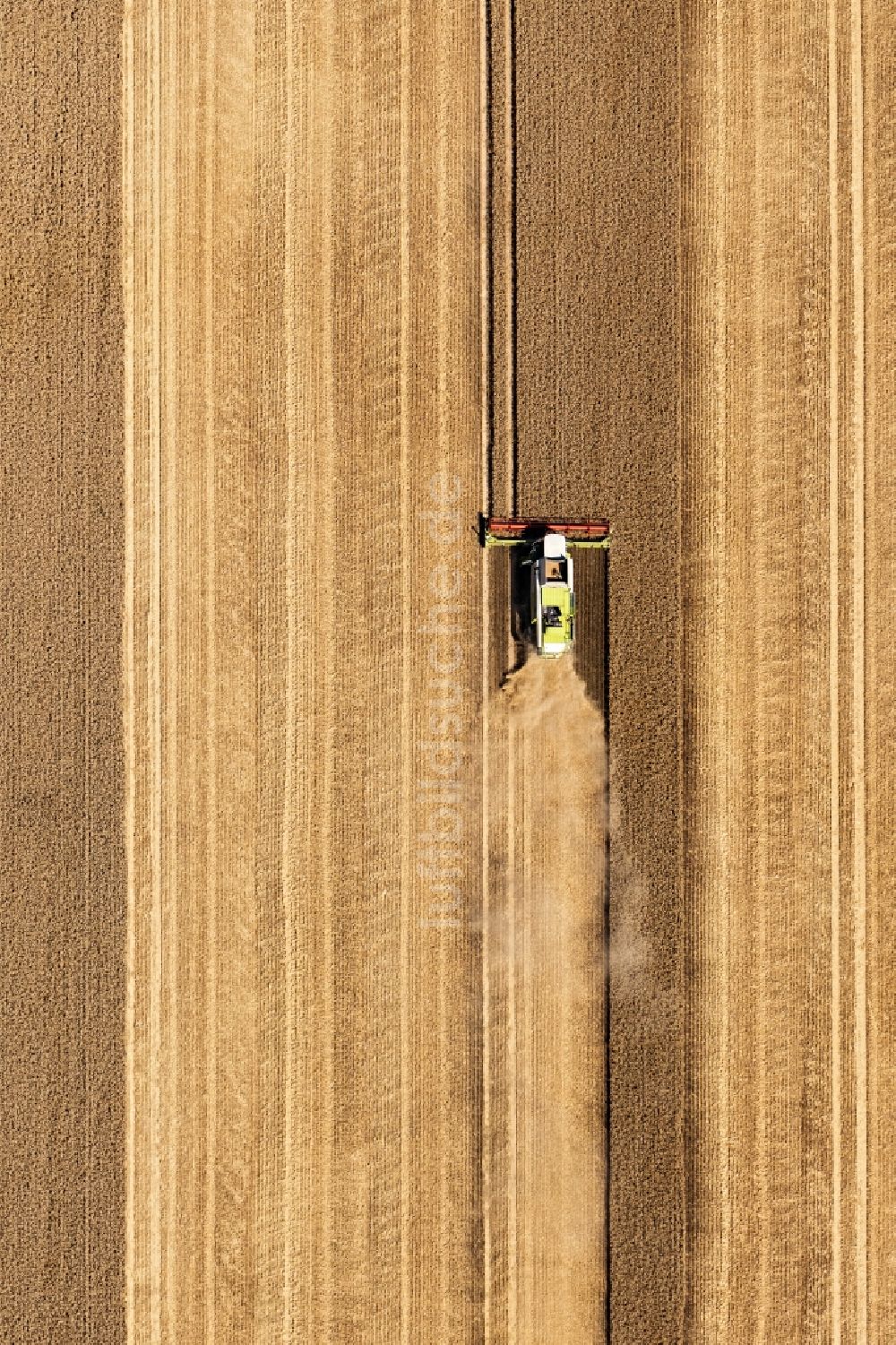 Senkrecht-Luftbild Bad Düben - Senkrechtluftbild Ernteeinsatz auf landwirtschaftlichen Feldern in Bad Düben im Bundesland Sachsen, Deutschland
