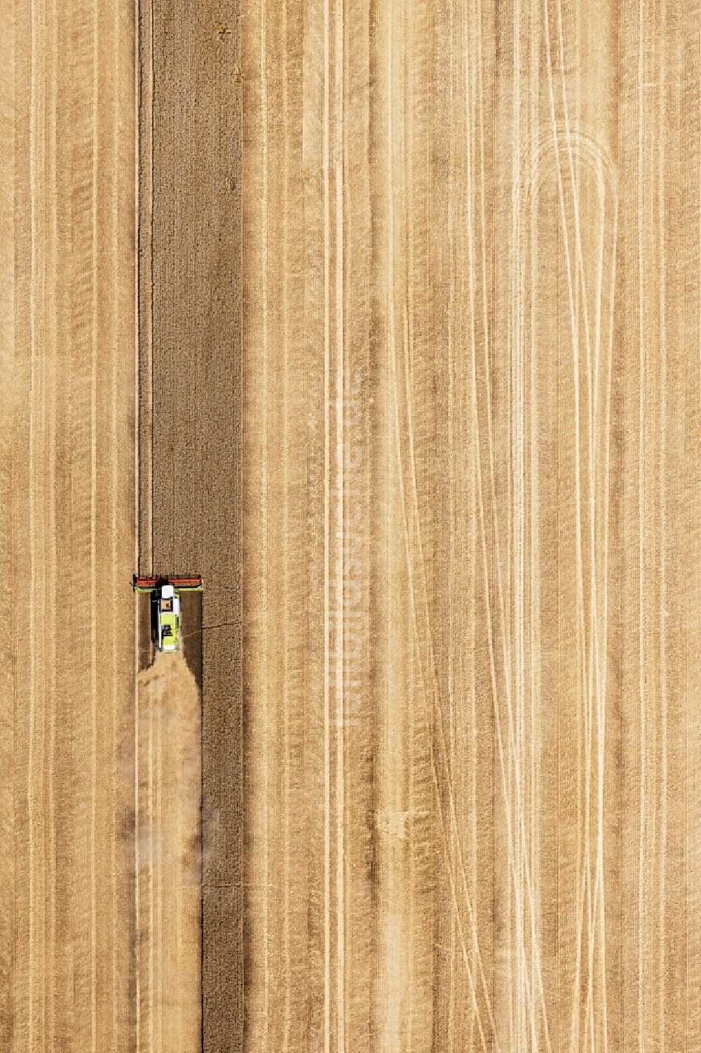 Senkrecht-Luftbild Bad Düben - Senkrechtluftbild Ernteeinsatz auf landwirtschaftlichen Feldern in Bad Düben im Bundesland Sachsen, Deutschland