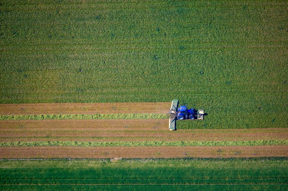 Senkrecht-Luftbild Drevenack - Senkrechtluftbild Ernteeinsatz auf landwirtschaftlichen Feldern in Drevenack im Bundesland Nordrhein-Westfalen, Deutschland