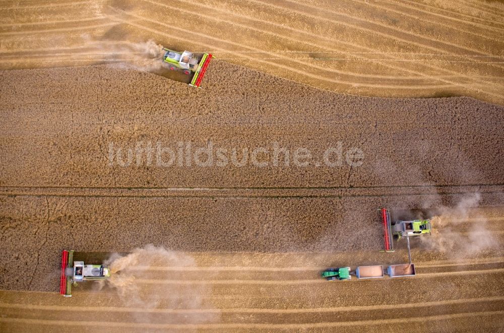 Senkrecht-Luftbild Lützow - Senkrechtluftbild Ernteeinsatz auf landwirtschaftlichen Feldern in Lützow im Bundesland Mecklenburg-Vorpommern, Deutschland