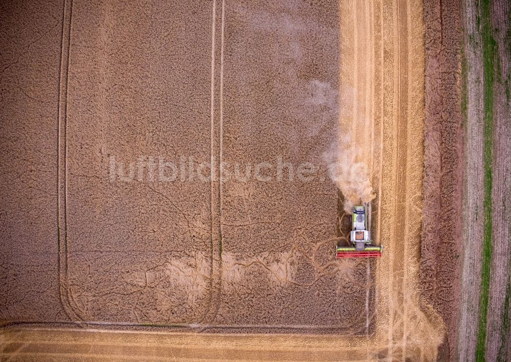 Senkrecht-Luftbild Lützow - Senkrechtluftbild Ernteeinsatz auf landwirtschaftlichen Feldern in Lützow im Bundesland Mecklenburg-Vorpommern, Deutschland