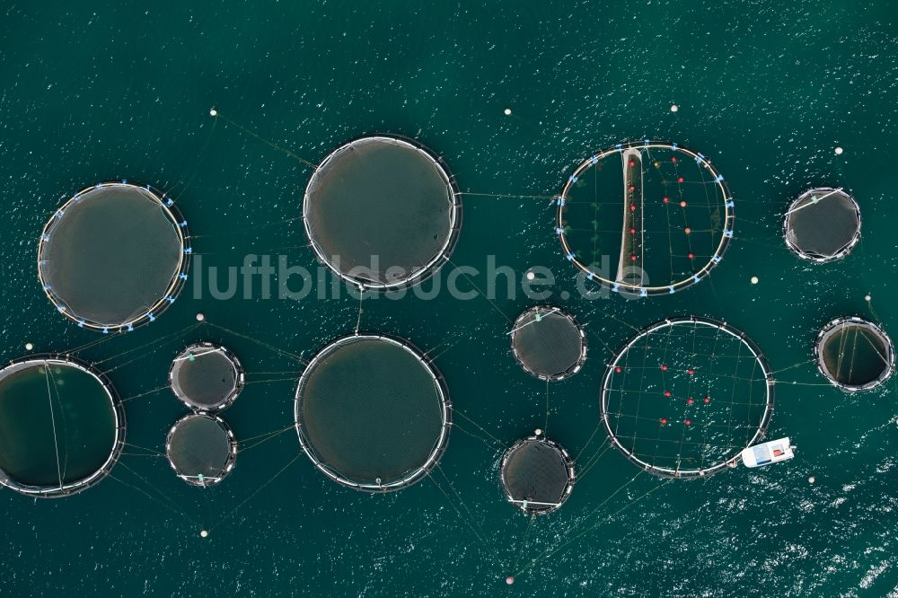 Senkrecht-Luftbild Andratx - Senkrechtluftbild Fischfarm im Ortsteil Port Andfratx in Andratx auf der balearischen Mittelmeerinsel Mallorca, Spanien, Fischzucht