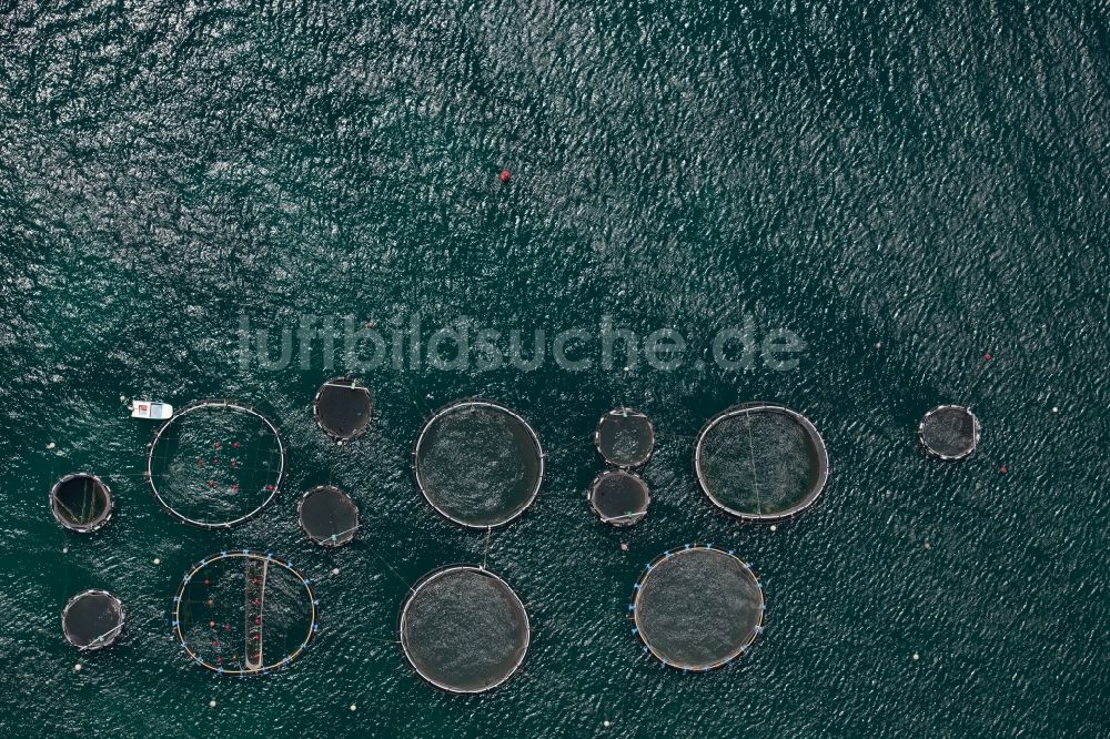 Senkrecht-Luftbild Andratx - Senkrechtluftbild Fischfarm im Ortsteil Port Andfratx in Andratx auf der balearischen Mittelmeerinsel Mallorca, Spanien, Fischzucht