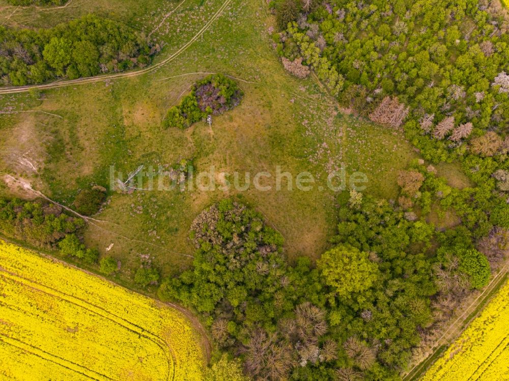 Senkrecht-Luftbild Falkenberg - Senkrechtluftbild Grasflächen- Strukturen einer Feld- Landschaft in Falkenberg im Bundesland Brandenburg, Deutschland
