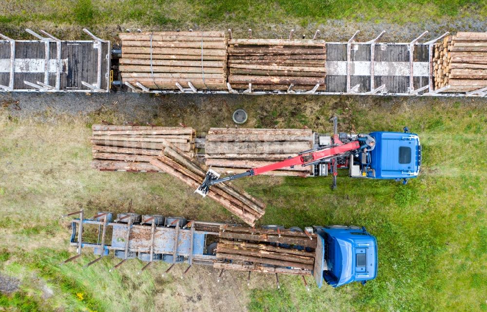 Senkrecht-Luftbild Pockau-Lengefeld - Senkrechtluftbild Güterzug Beladung mit Baumstämmen auf der Gleis- Strecke in Pockau-Lengefeld im Bundesland Sachsen, Deutschland
