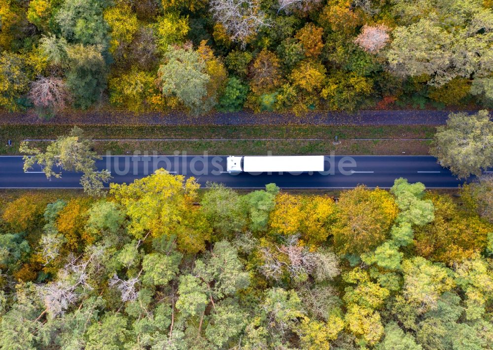 Senkrecht-Luftbild Nudow - Senkrechtluftbild Landstraße im Waldgebiet in Nudow im Bundesland Brandenburg, Deutschland