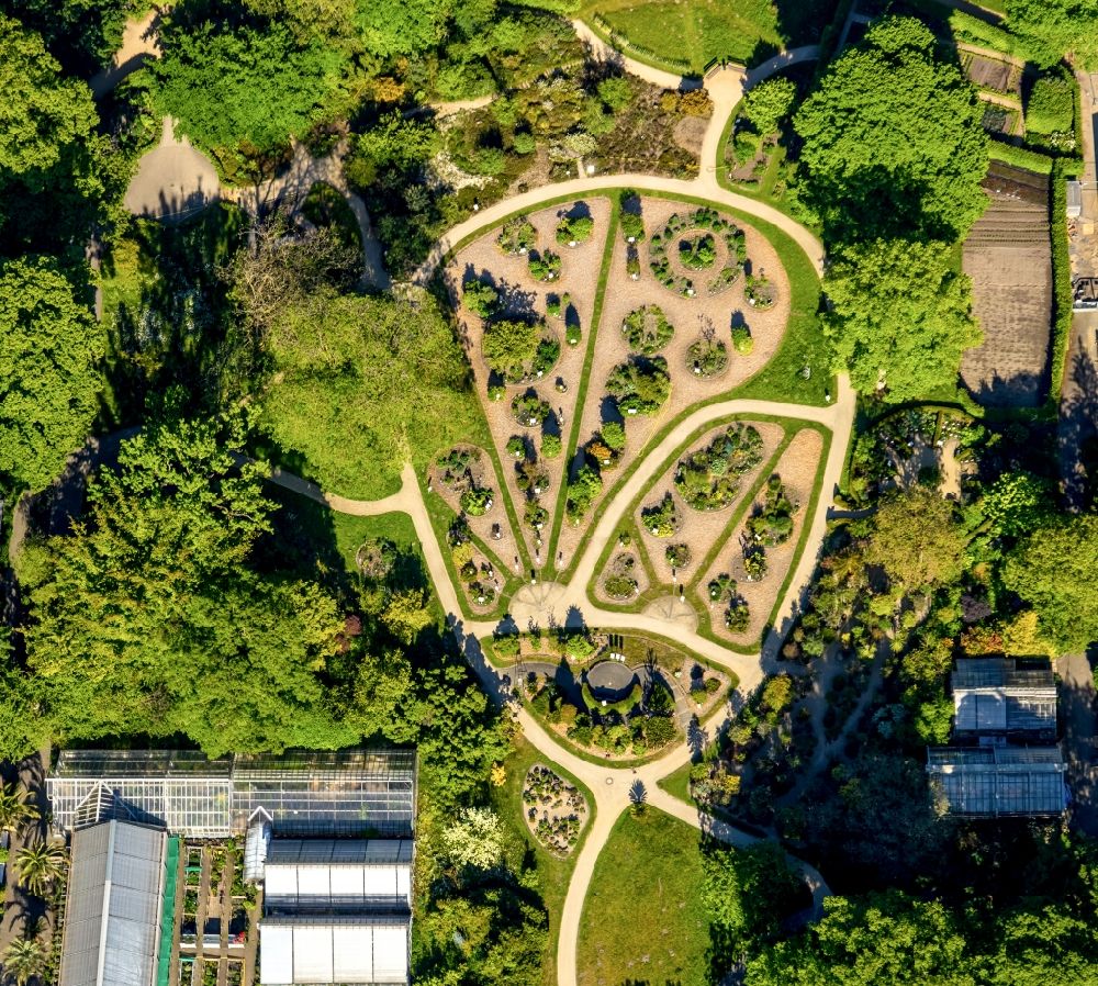 Senkrecht-Luftbild Münster - Senkrechtluftbild Parkanlage Botanischer Garten Schlossgarten in Münster im Bundesland Nordrhein-Westfalen, Deutschland
