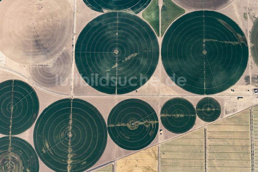 Senkrecht-Luftbild Mohave Valley - Senkrechtluftbild Pivot- Bewässerungsanlage auf landwirtschaftlichen Feldern in Mohave Valley in Arizona, USA
