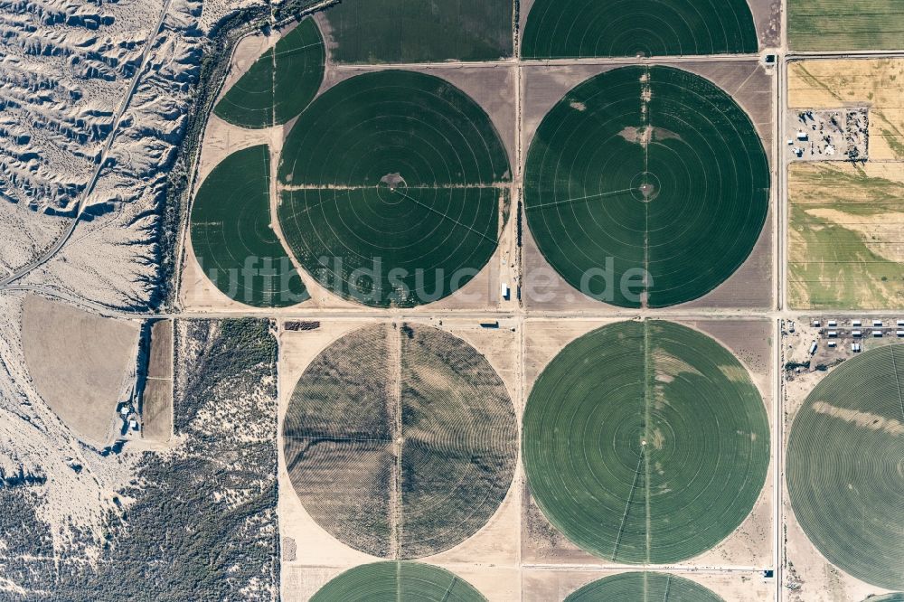 Senkrecht-Luftbild Mohave Valley - Senkrechtluftbild Pivot- Bewässerungsanlage auf landwirtschaftlichen Feldern in Mohave Valley in Arizona, USA