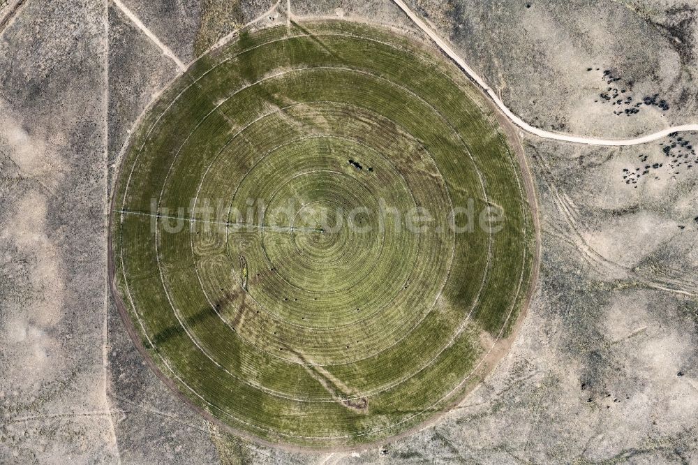 Senkrecht-Luftbild Williamson - Senkrechtluftbild Pivot- Bewässerungsanlage auf landwirtschaftlichen Feldern in Williamson in Arizona, USA