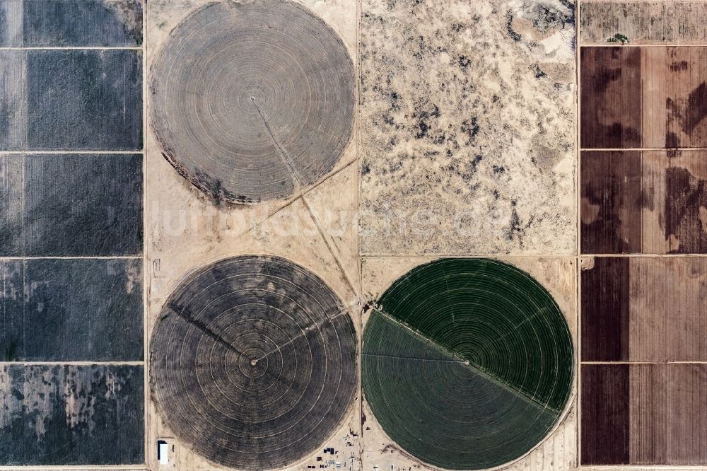 Senkrecht-Luftbild Dolan Springs - Senkrechtluftbild Pivot- Bewässerungsanlage auf landwirtschaftlichen Feldern der Wüste in Dolan Springs in Arizona, USA